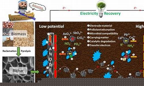 利用微生物技术修复污染土壤的方法